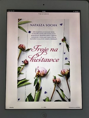 socha trojenahustawce