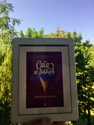 olejnik caławfiołkach