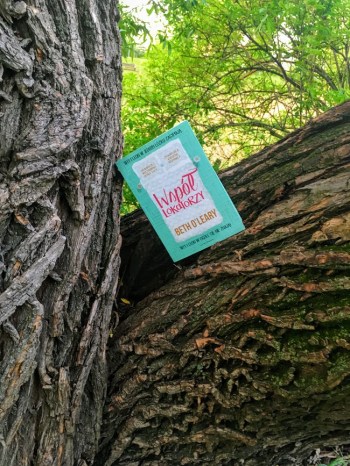 Oleary Wspollokatorzy1