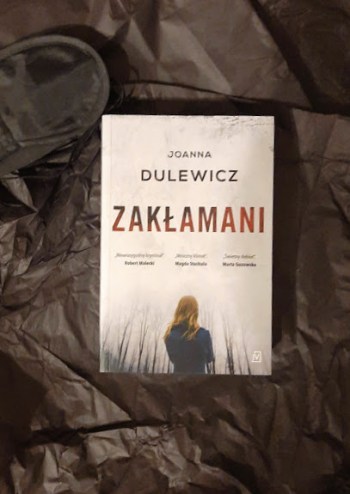 DulewiczZaklamani3